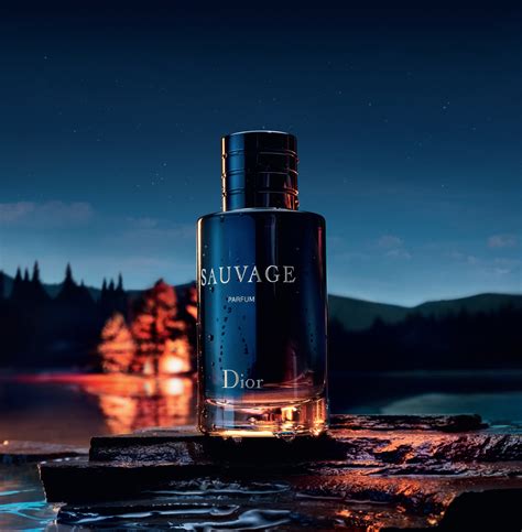 sauvage dior uomo 2019|dior sauvage top notes.